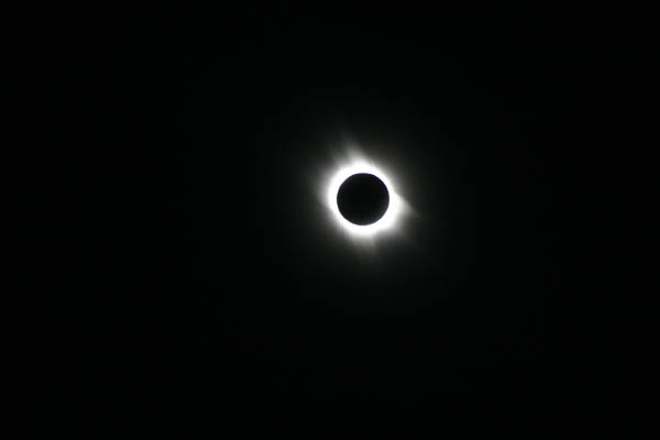 IMG_8590