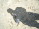 R0035350